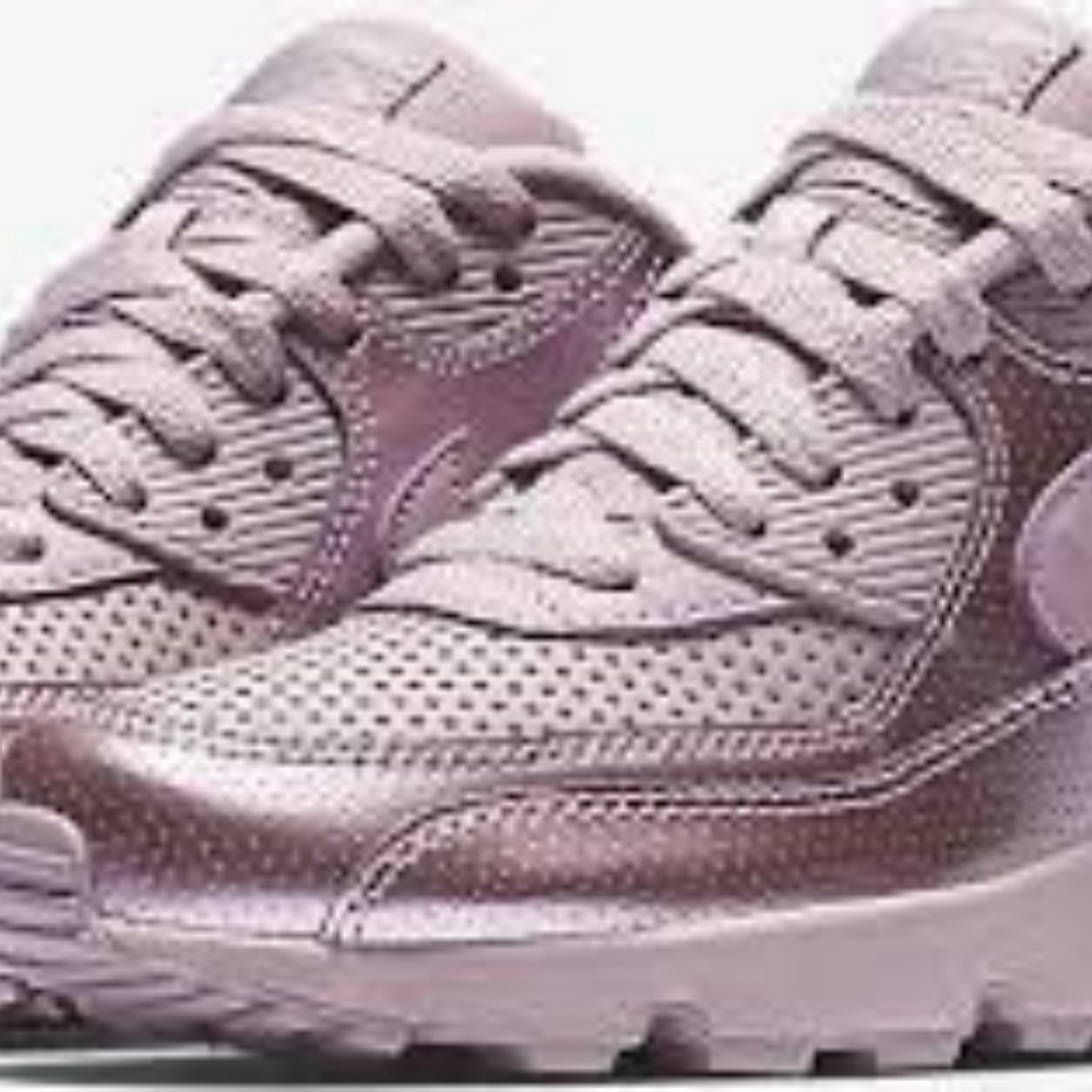 Nike Air Max 90 Exclusive Color